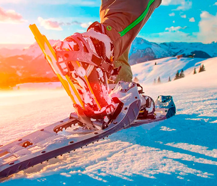 About-Whistler-Snowshoe_whistler